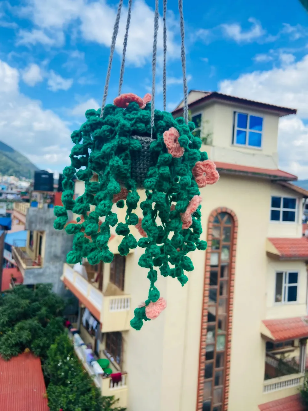 Handmade Crochet Hanging Vine Plant with Flowers - Daily Cart Nepal