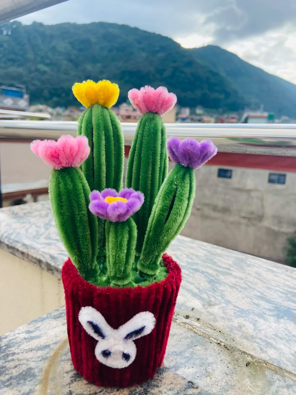 Handmade mini cactus - Daily Cart Nepal